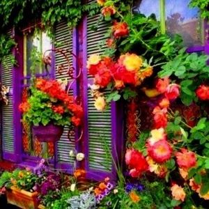 Meet your Posher, Beverly